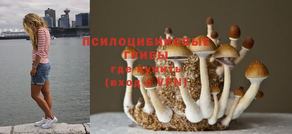 альфа пвп Володарск